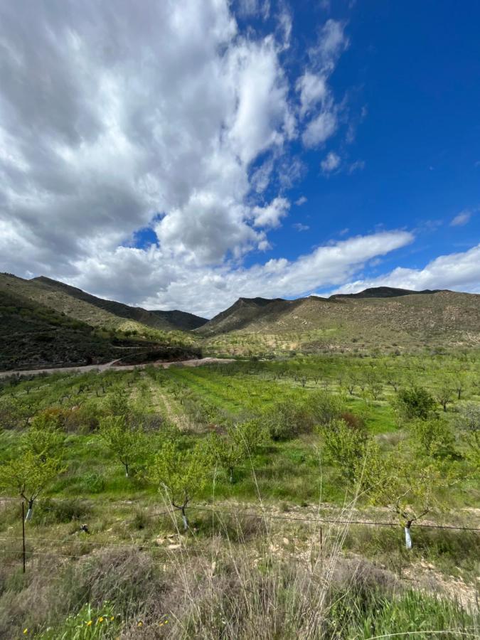 Lubrín Luby Cortijo El Hornoヴィラ エクステリア 写真